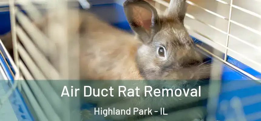  Air Duct Rat Removal Highland Park - IL