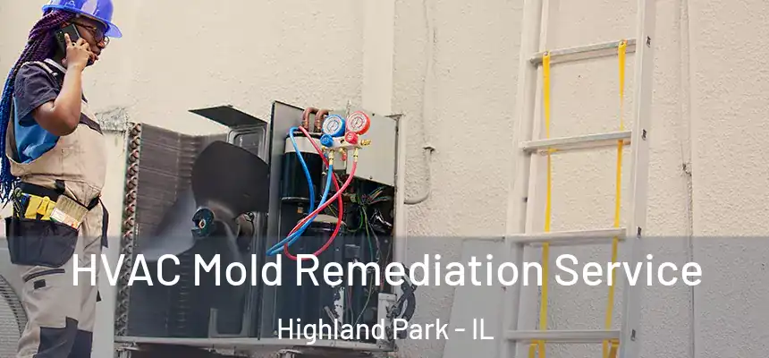 HVAC Mold Remediation Service Highland Park - IL