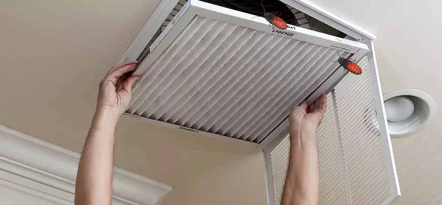 Preventive Cockroach-Proofing for Ducts in Highland Park