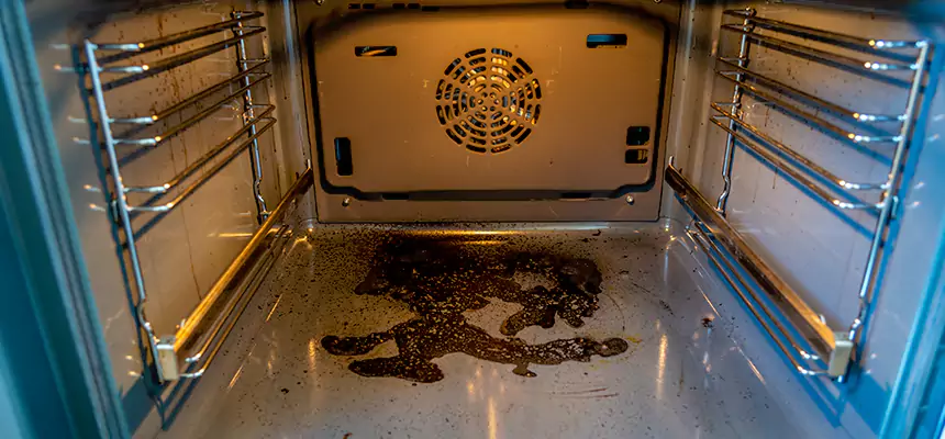 Our Dryer Vent Mold Cleaning Services in Highland Park, IL