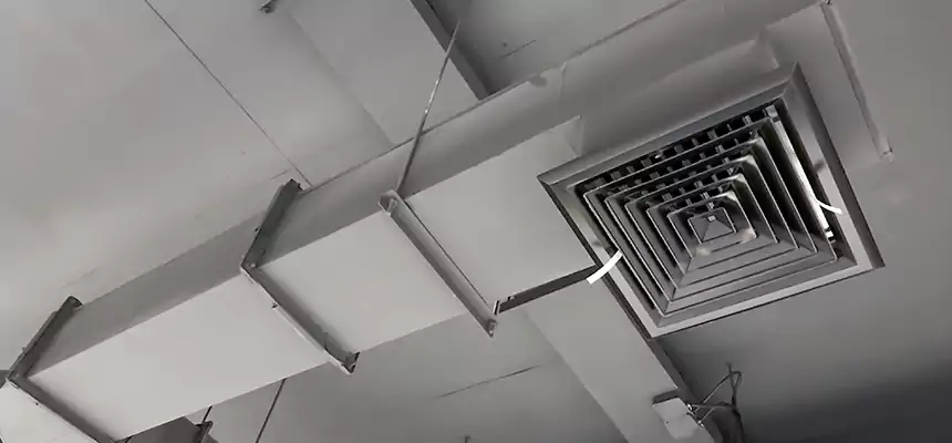 Our Rodent Droppings In Vents Services in Highland Park, IL