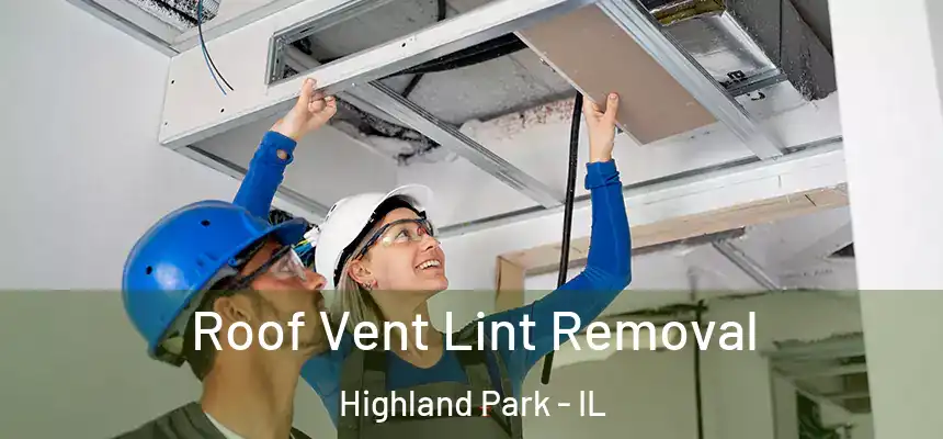  Roof Vent Lint Removal Highland Park - IL
