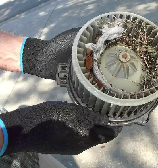 About Air Duct Rat Removal in Highland Park, IL