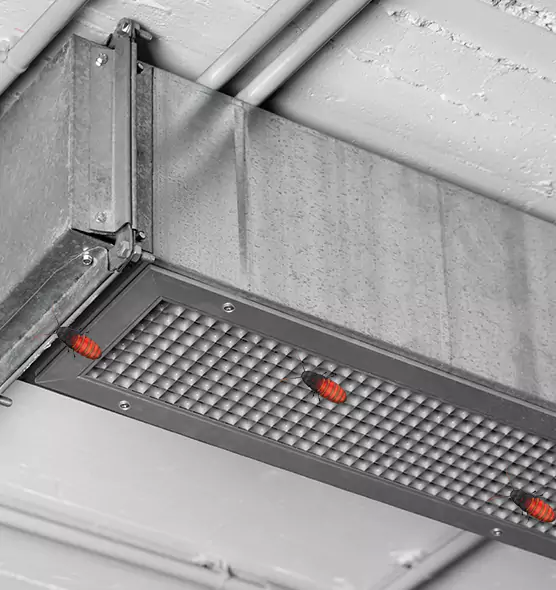 Affordable Insect Removal from Air Ducts in Highland Park, IL