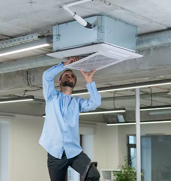 Advanced Rodent Droppings In Vents in Highland Park, IL